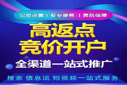 行业领先：竞价SEM托管案例剖析